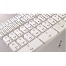 三豐藤野貿易代理 日本三豐MITUTOYO單體英制型矩形量塊613198