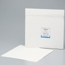 Whatman  6881-2504 25ΦGDX系列過濾器CA